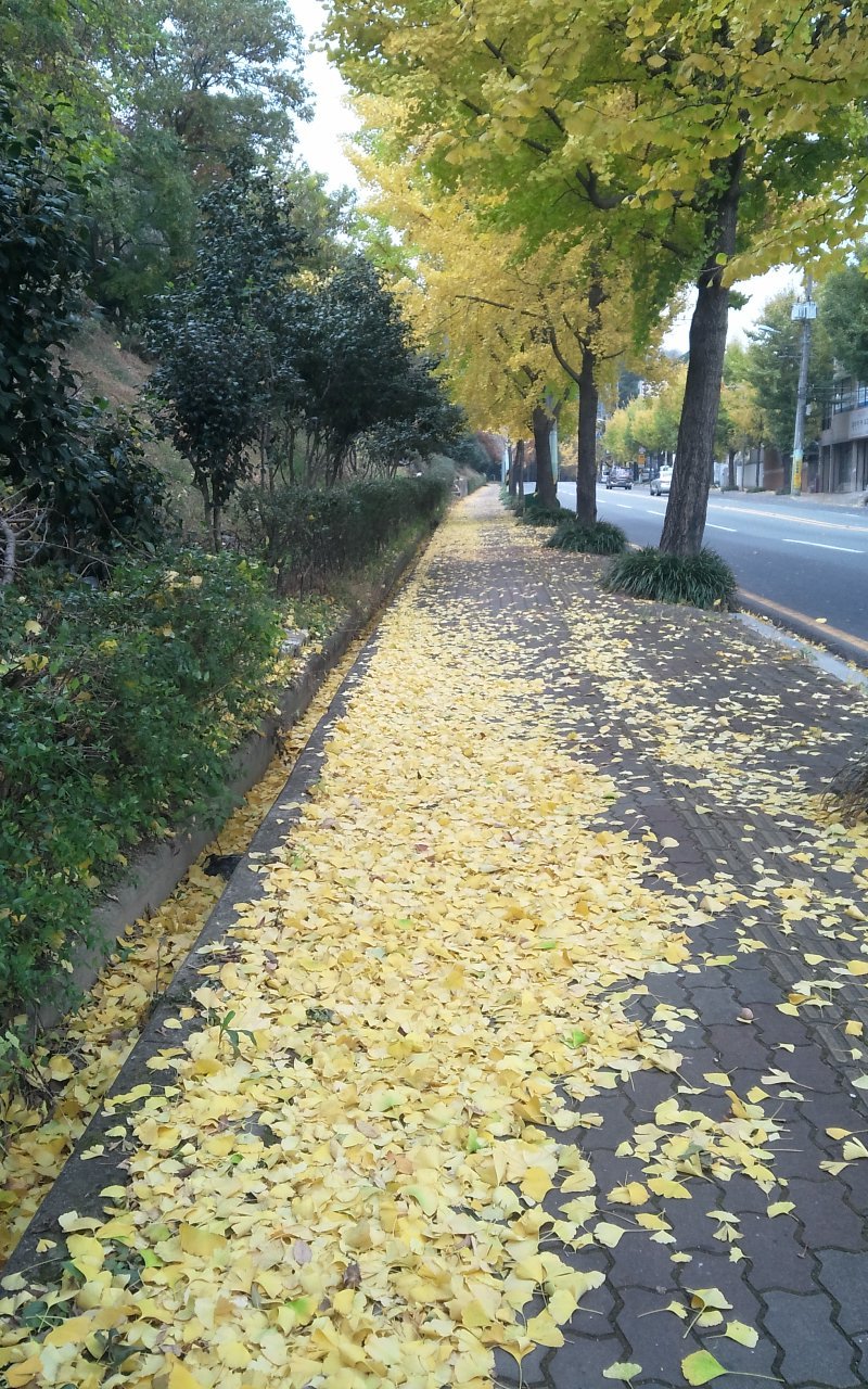 정광사 이미지