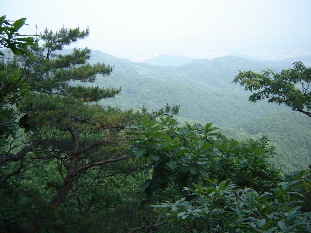 향수산 정상 이미지