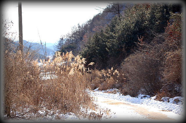 금봉천 이미지
