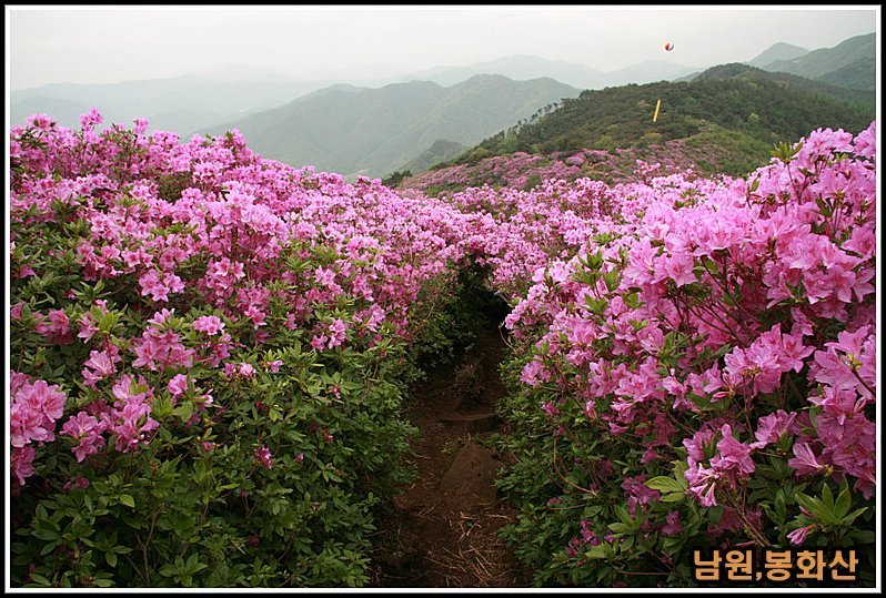 송내주유소 이미지