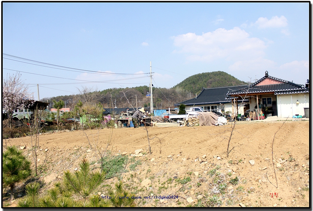 참살이 농산물 이미지