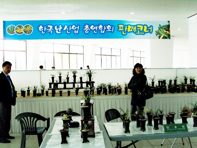 한국춘난판매 이미지