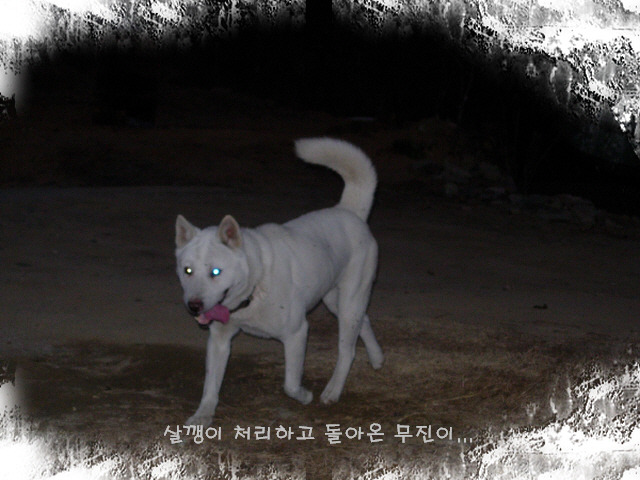 무진농장 이미지