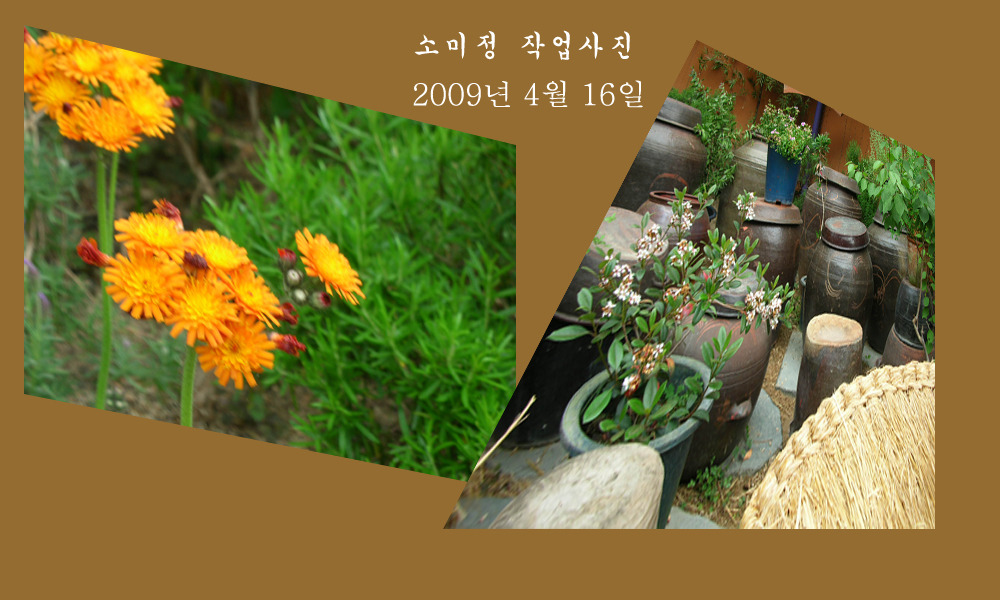소미정 이미지