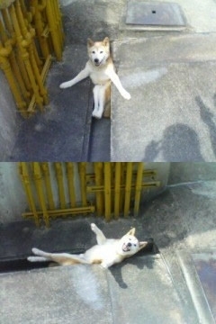 흠 이미지