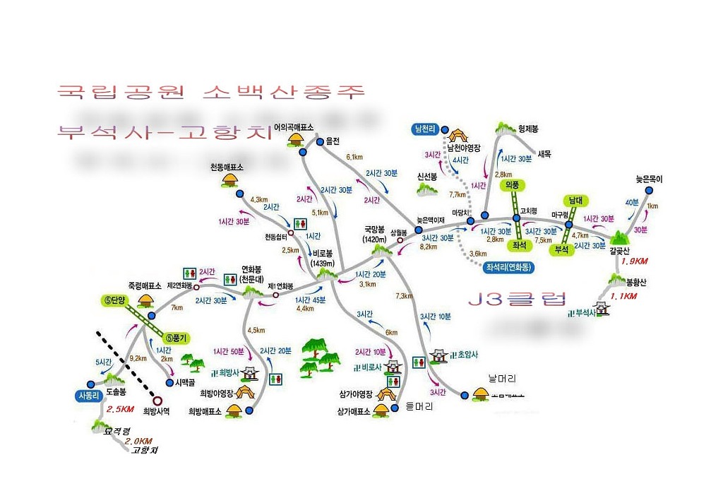 구미보보스 이미지