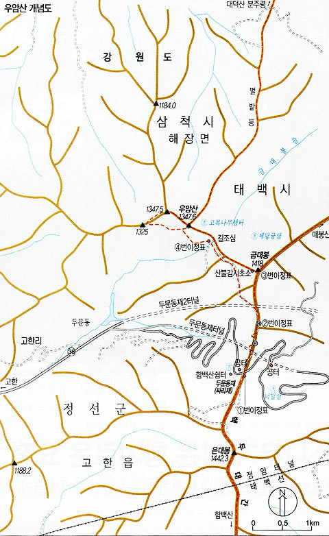 동경장 이미지