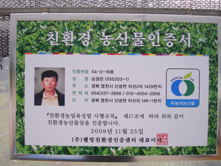 치산미나리 이미지