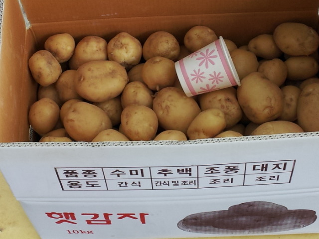 수미방 이미지