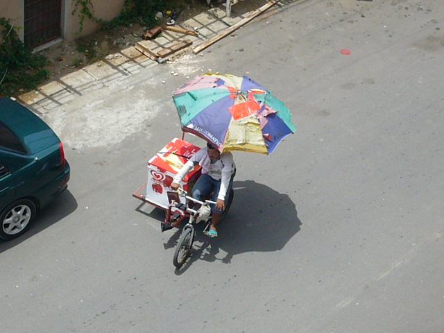 황금마차 이미지