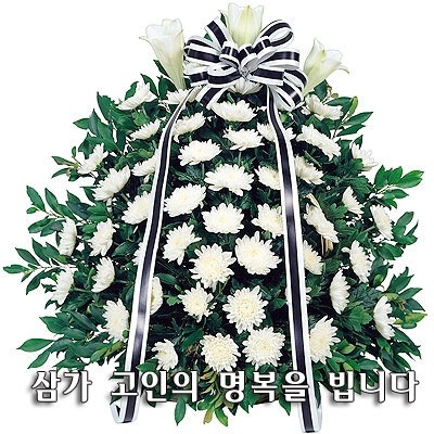 최*석 이미지