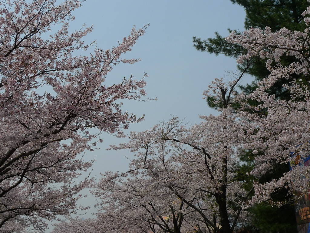 (주) 서울랜드 이미지