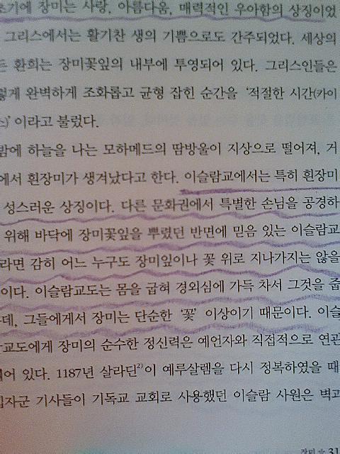 세상에서가장아름다운나무 이미지