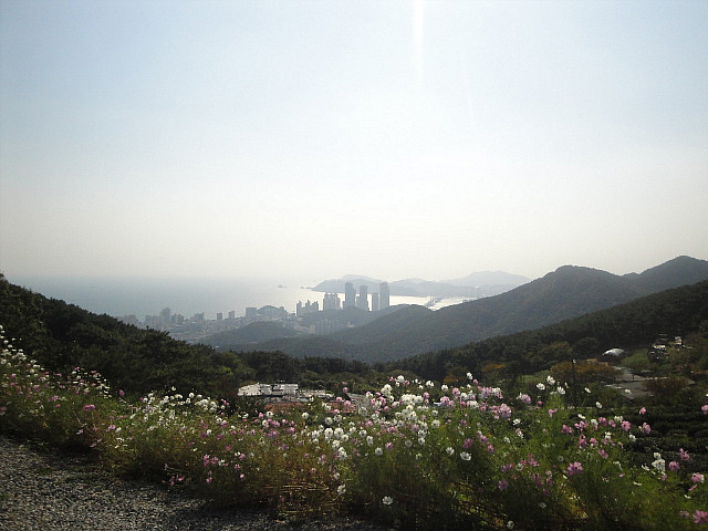 장산막걸리 이미지