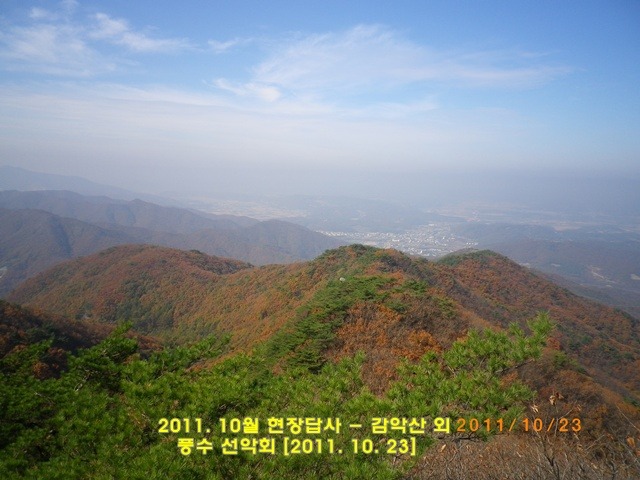 일번지치킨호프 이미지
