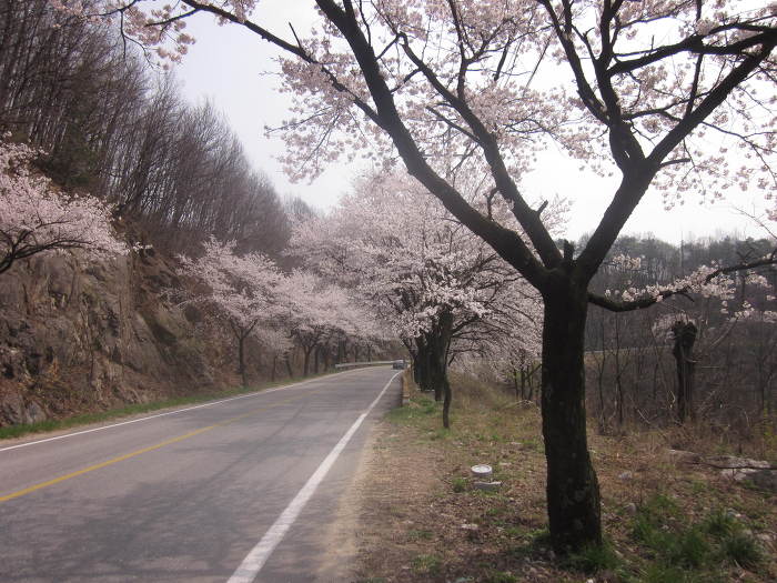 사단법인 제천문화예술위원회 이미지