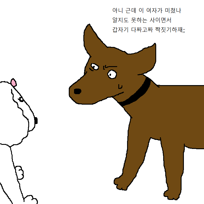 댕댕이의 운수좋은날.jpg | 인스티즈