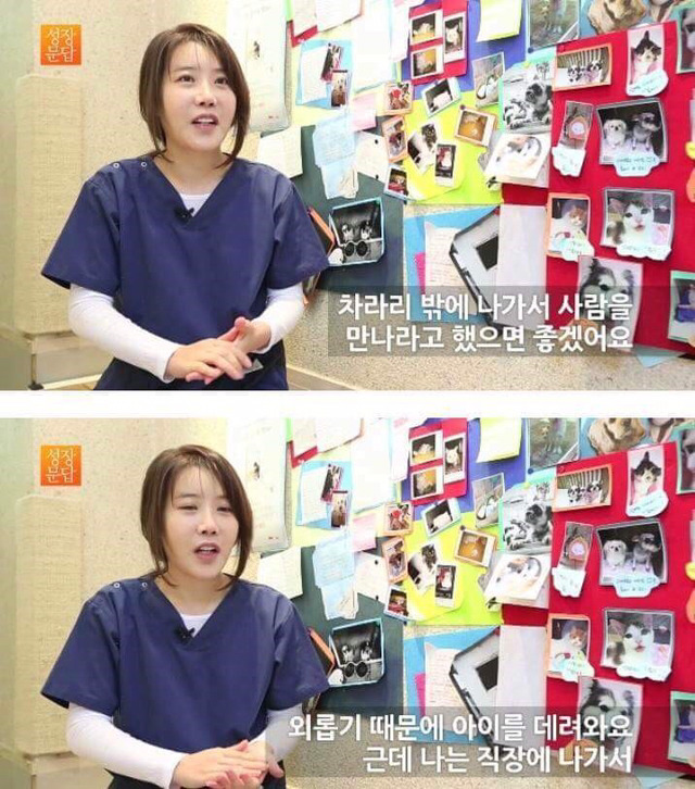 동물을 좋아하는 사람이 동물을 버린단 말이에요 | 인스티즈