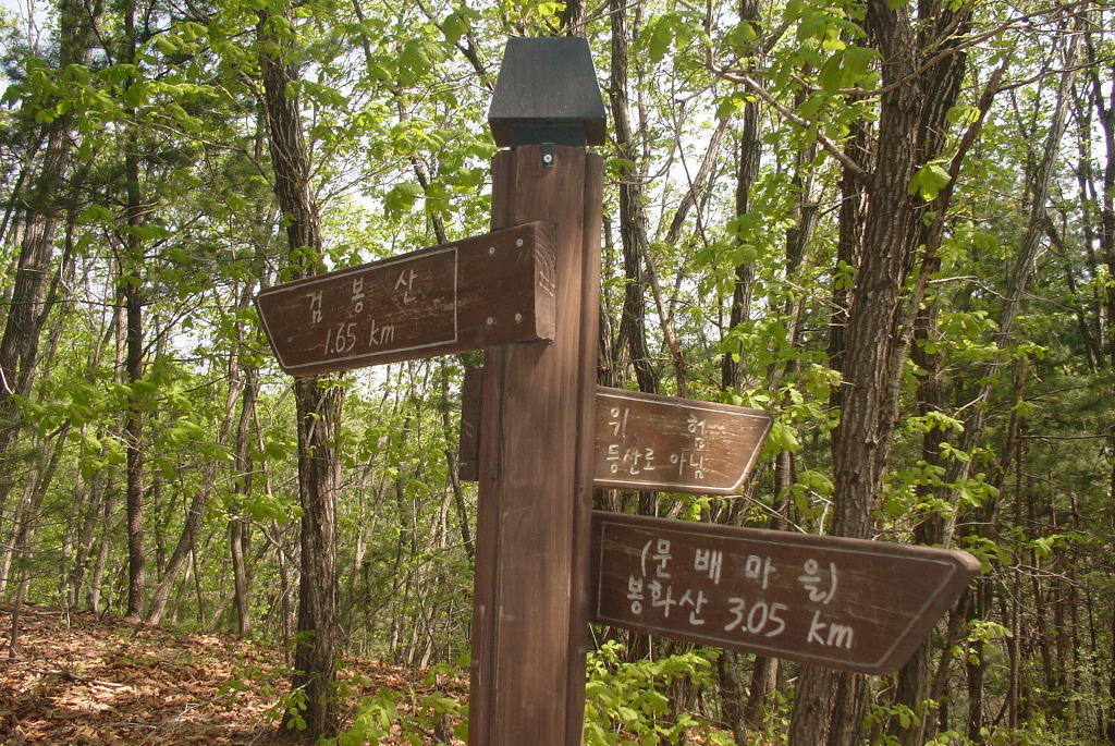 삼성봉(440m) 이미지
