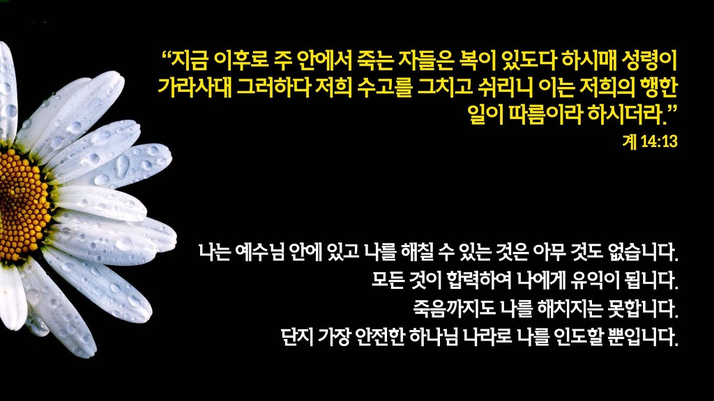 새창조 이미지
