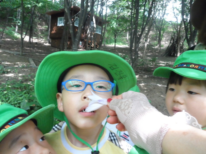 미림유치원 이미지