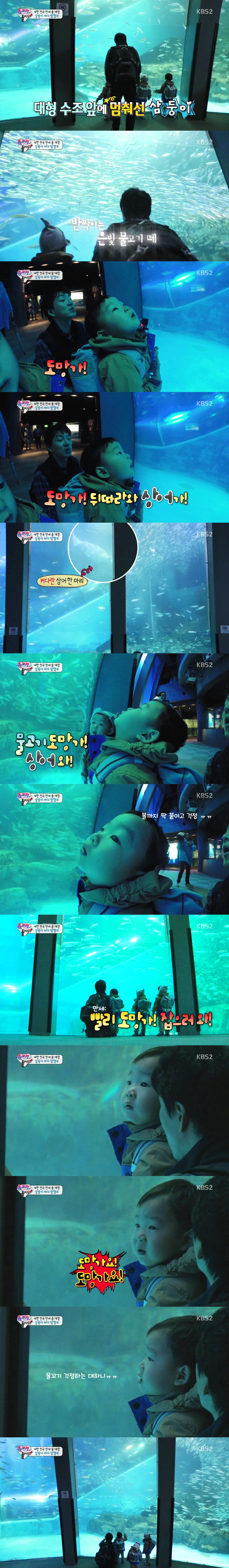 [슈퍼맨이돌아왔다] 아이들의 순수함이 보였던 삼둥이 수족관 에피♡.jpg | 인스티즈