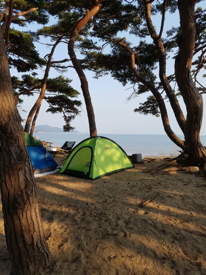 덕적도에서 이미지