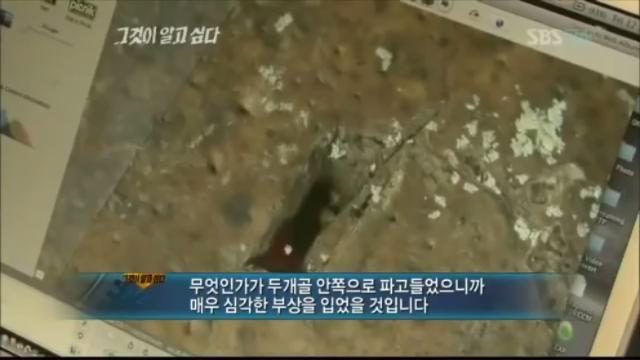 [그알] 개구리 소년 살인사건 | 인스티즈