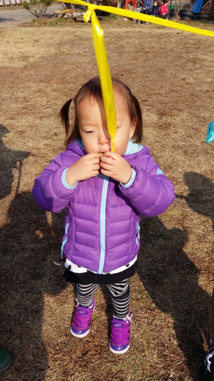 늘노리자연학교 이미지