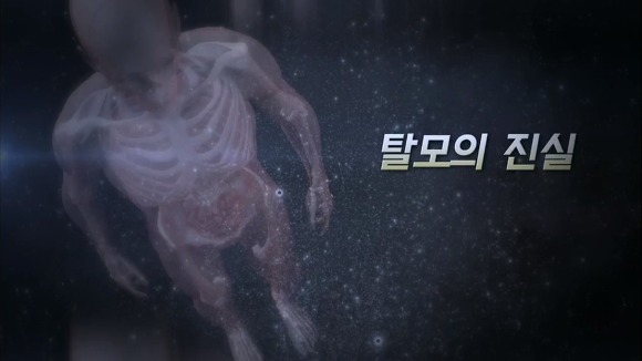 탈모의 진실 | 인스티즈