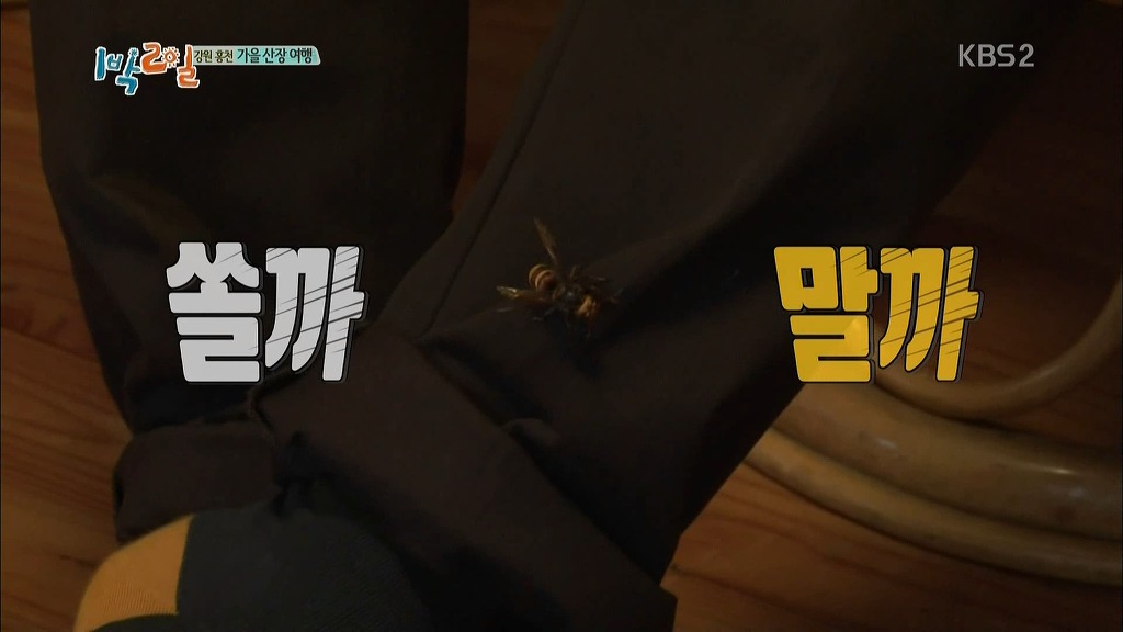1박2일 시즌3가 역대급 팀워크라 불리는 이유.jpg | 인스티즈