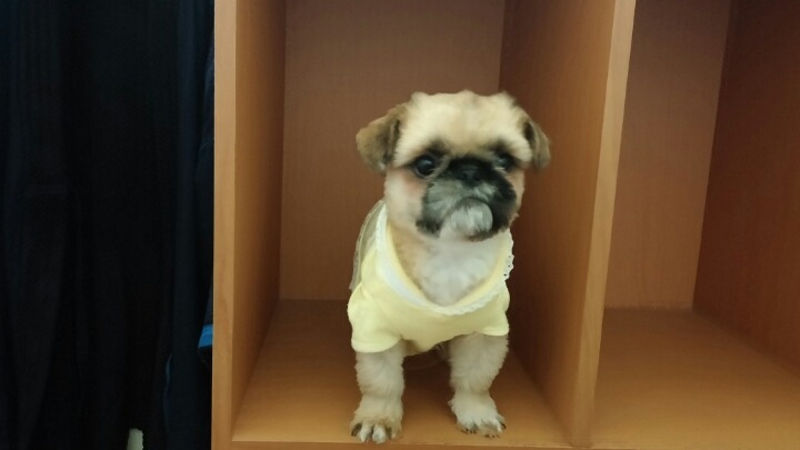 동림관 이미지