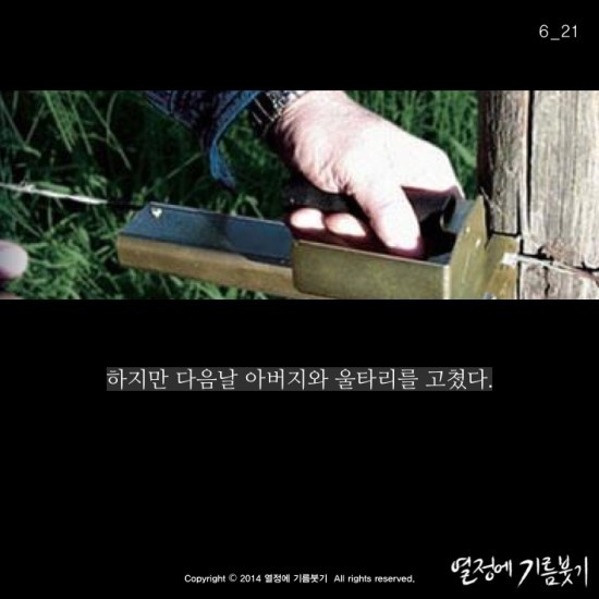 모두가 자살할 것이라 생각한 남자 | 인스티즈