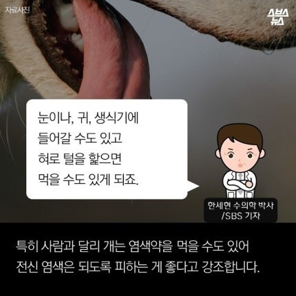 강아지가 도화지야???? | 인스티즈