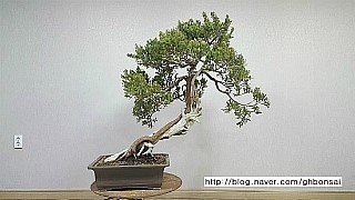 대야원 이미지