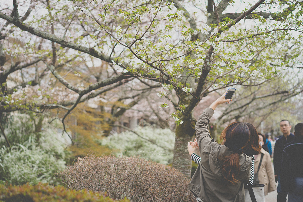 스냅사진 위주의 유치진지한 여행기 - 오사카&교토 (3) | 인스티즈