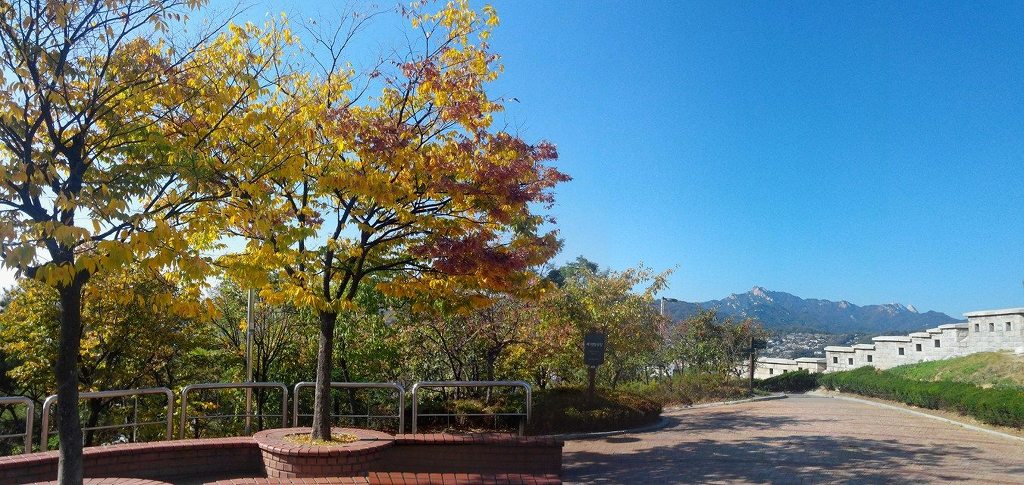 2147C636582C366C014A7D