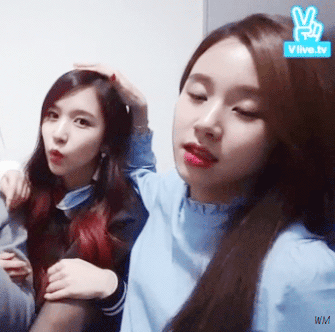 [트와이스] 미나 머리 쓰다듬는 걸크러쉬 채영이 ㅋㅋㅋ | 인스티즈