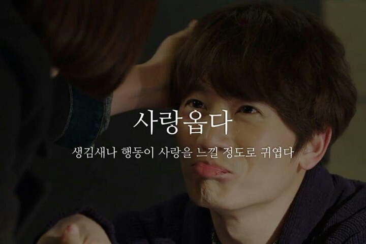 사랑옵다 이미지