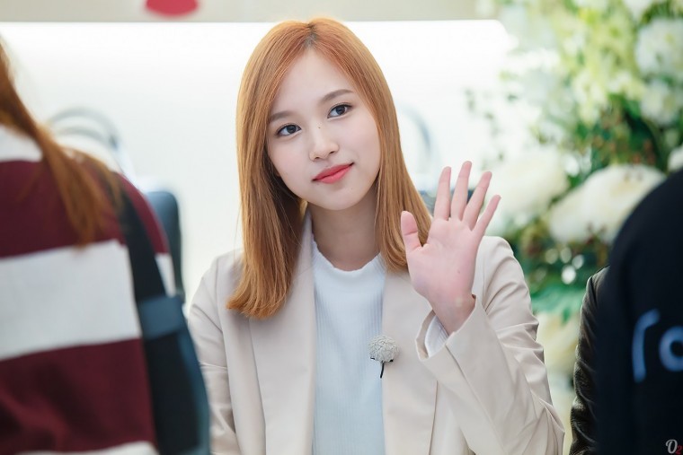 트와이스 펭귄이 되고 싶은 녀자 미나 (ㅋㅋㅋㅋ) | 인스티즈