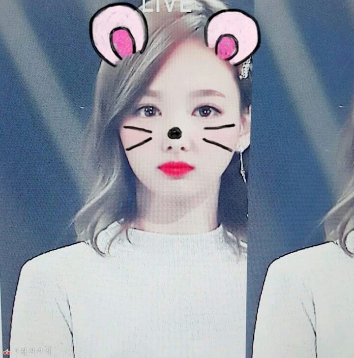 트와이스 토끼 나연 | 인스티즈