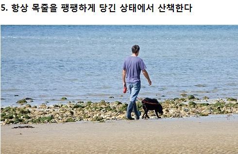 강아지가 싫어하는 8가지 행동.jpg | 인스티즈
