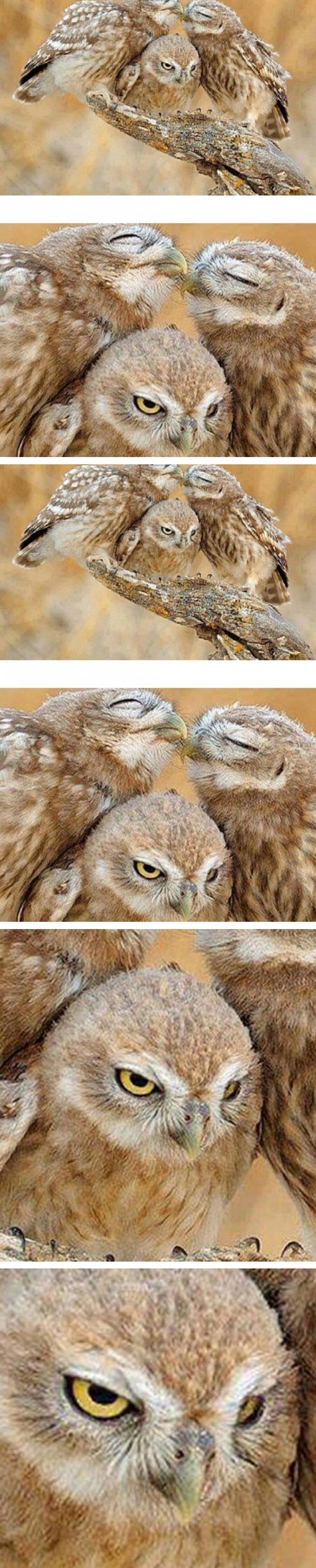 ....죽인다..... | 인스티즈