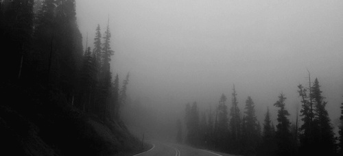 지구의 한조각을 손에 쥐고 사는 것이 이토록 서럽더라니 | 인스티즈