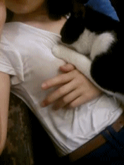 마사지 좋아하는 고양이.gif | 인스티즈