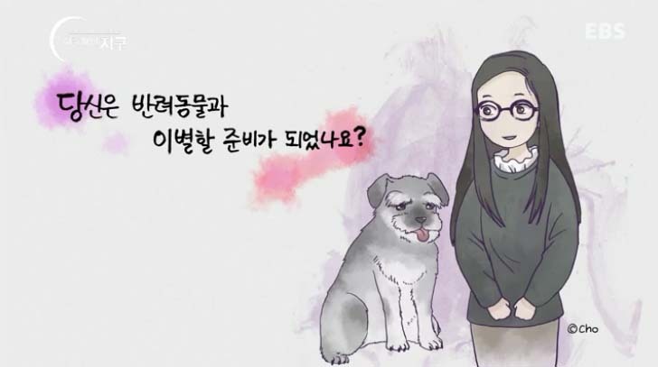  당신은 반려동물과 이별할 준비가 되었나요? | 인스티즈