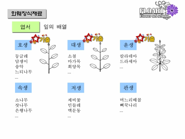 플로아트 이미지