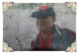 제신 이미지