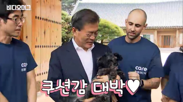 토리가 새마약방석이 맘에 들었나보다(영상） | 인스티즈