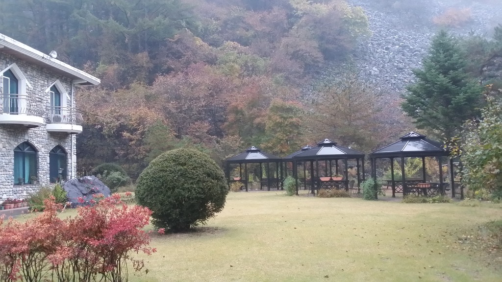 소나무펜션 이미지
